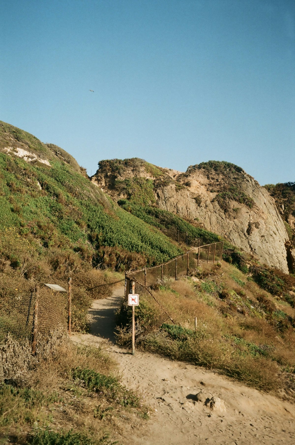 Dramatic coastal cliff path overlooking the sea